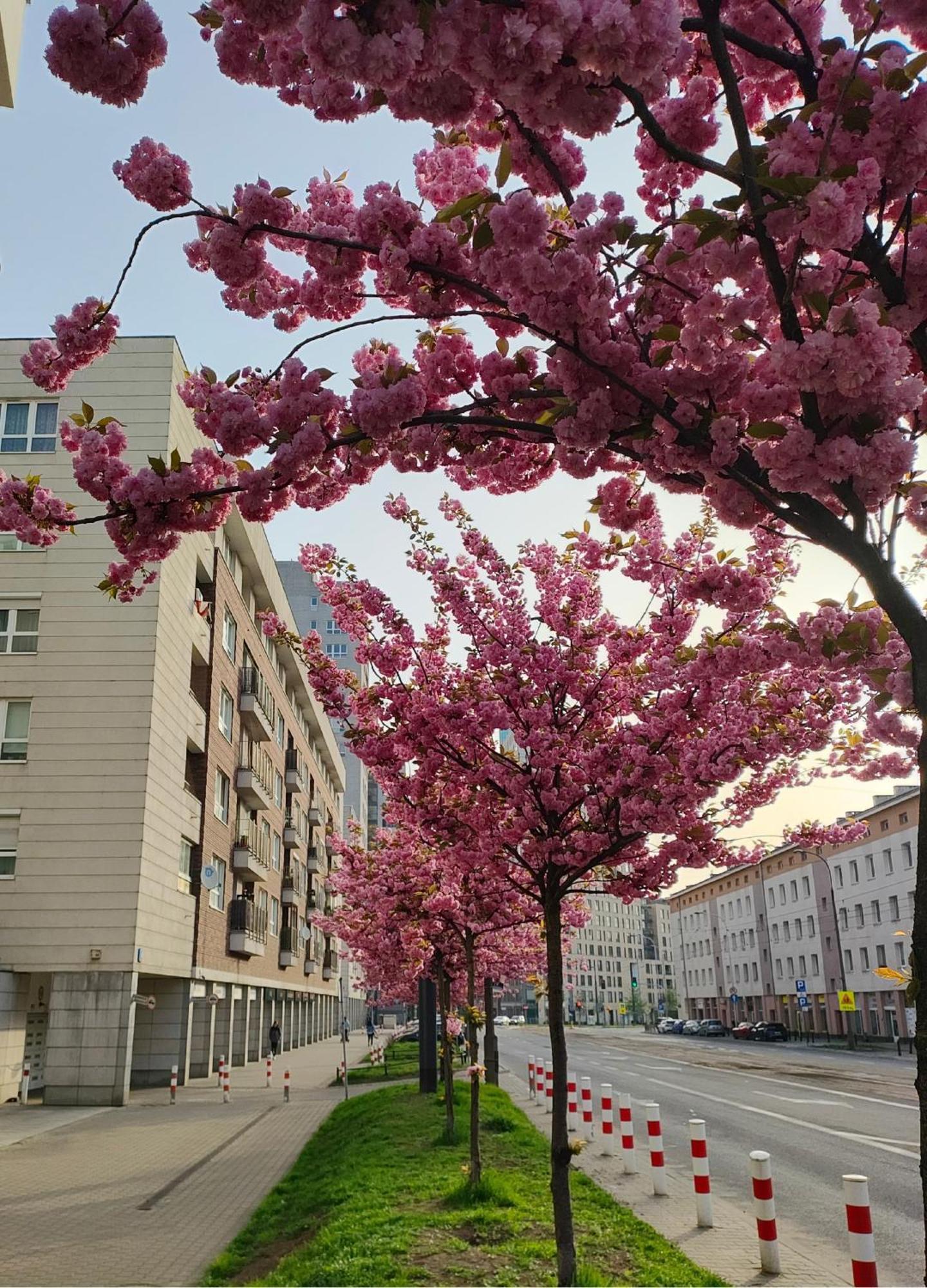 Totutotam Studio Warsawa Bagian luar foto